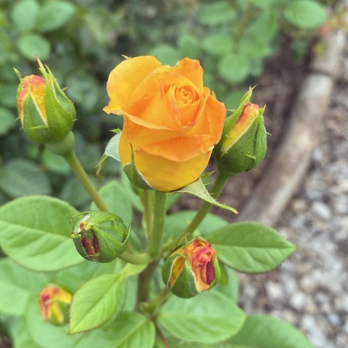 Unsere neue Webseite - Viel Spaß beim Entdecken!