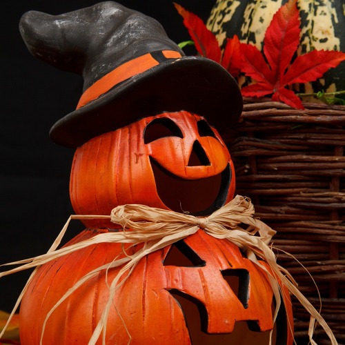 VORVERKAUF zum HALLOWEEN Kürbis-Schnitzen im Vereinsheim am 31.10.2026!