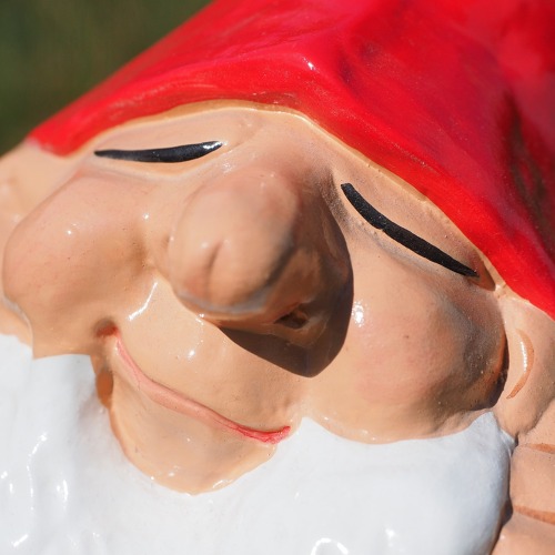 Außerordentliche Mitgliederversammlung